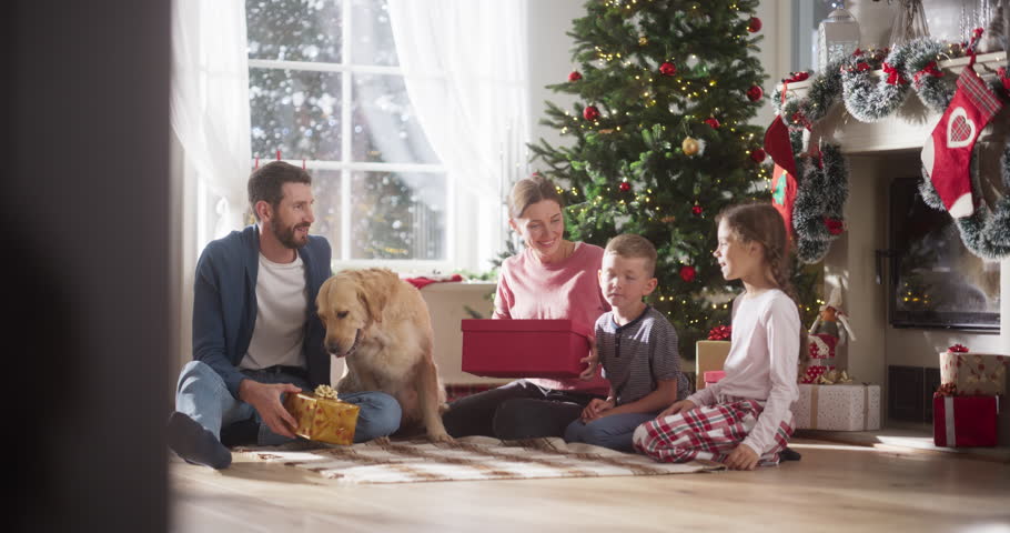 Slow Motion of Happy Little Family Exchanging Gifts on Christmas Morning: Brother and Sister Receiving their Gifts. Happy Children Getting New Toys from Mom and Dad, with Family Dog Sharing the Moment Royalty-Free Stock Footage #1109217889