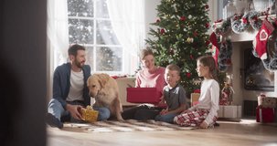 Slow Motion of Happy Little Family Exchanging Gifts on Christmas Morning: Brother and Sister Receiving their Gifts. Happy Children Getting New Toys from Mom and Dad, with Family Dog Sharing the Moment - Powered by Shutterstock - Get 15% off with code: PIKWIZARD15