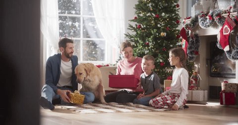 Slow Motion of Happy Little Family Exchanging Gifts on Christmas Morning: Brother and Sister Receiving their Gifts. Happy Children Getting New Toys from Mom and Dad, with Family Dog Sharing the Moment Stock Video