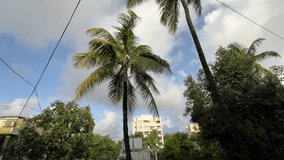 Smooth video of clouds with residential building and coconut trees in monsoon, Mumbai, India.