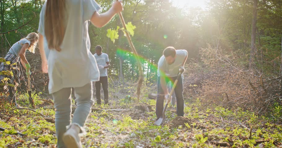 Lovely daughter helping dad planting trees in forest with team of enthusiastic volunteers. Excited people working together saving nature and the environment. Royalty-Free Stock Footage #1109223205