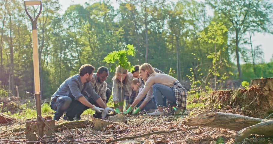 Eager multicultural multiage group of volunteers planting trees cheerfully in picturesque forest. Compassionate adults and kid caring about environment doing forestation. Reforestation concept.