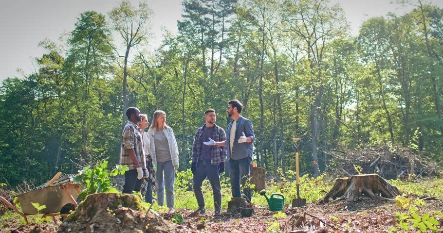 Multicultural group of happy enthusiastic people giving hive fives in circle rejoicing after successful forestation in beautiful forest. Four attractive cheerful adults planting trees helping nature.