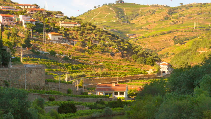 Famous place in Douro Valley in place of great wine production - Pinhao, Portugal Royalty-Free Stock Footage #1109224485