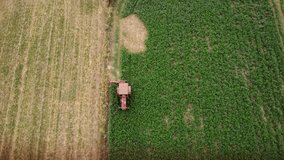 Aerial top down drone tracking footage of a vintage tractor harvesting in a field. High angle shot of green crops being mown down and collected at an agricultural farm. Slow pedestal shot

