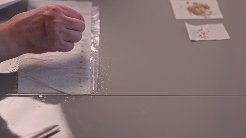 Close up view of female hands preparing seeds for planting. Sweden. | Shutterstock HD Video #1109232387