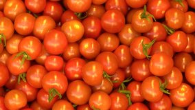 Red cherry tomatoes lie in a box