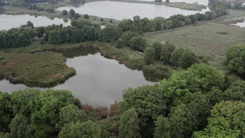 View of a bird -flight pond complex in the "Park Krajobrazowy Dolina Baryczy" Landscape Park on an autumn foggy morning