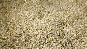 Close-Up Dolly Shot of Raw Brown Rice in 4K Video