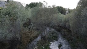 Forest drone video shootings Sivas Gürün