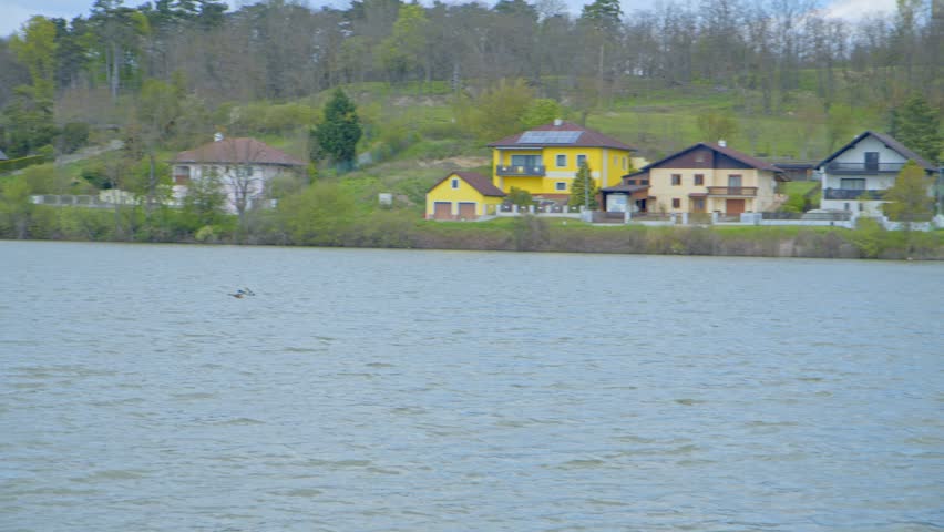 Birds Flying Over The River In Daytime. - tracking