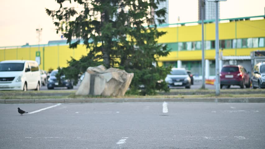 A young mother and daughter quickly carry bags of groceries through the parking lot of a shopping center