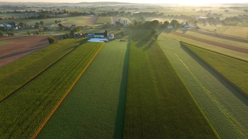Farmland in USA during golden sunrise. Aerial truck shot over corn fields and farms. Rural countryside on summer morning.