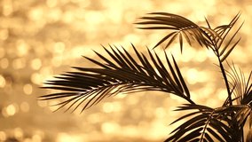 Swaying palm tree leaves against a golden bokeh of the sea. Sun sparkles on waves, illuminating a warm beach. Sun shining through palm tree. Tropical sunset background. Travel, vacation concept - Powered by Shutterstock - Get 15% off with code: PIKWIZARD15