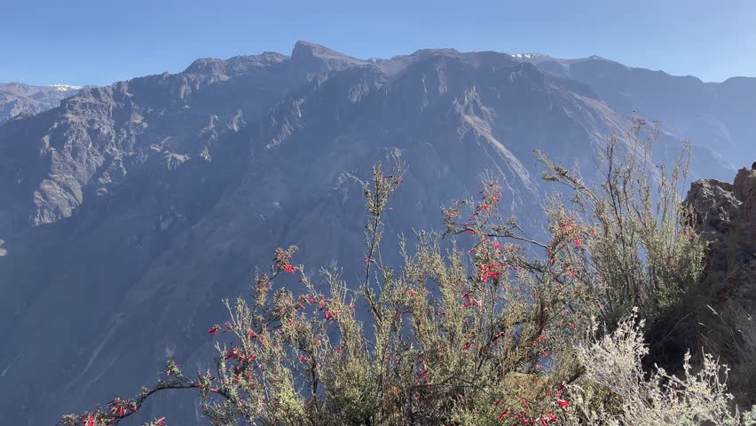 Beautiful landscape of Colca canyon in Peru