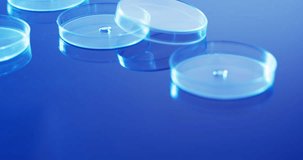 Video of close up of laboratory round glass dishes with copy space on blue background. Science, research and chemistry concept.
