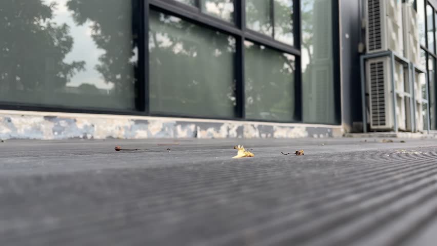 Brown plastic bag flying on ground floor windy day near window glass. Recycle and environmental concept | Shutterstock HD Video #1109308375