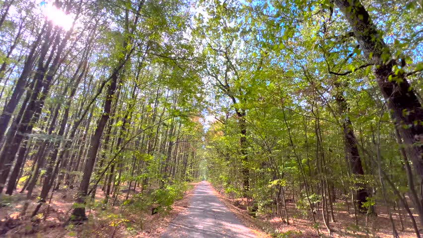 Riding a bike in the forest. First person view. POV. Bottom up view of green foliage of trees in the forest. Autumn season in the woods. Fall sport activirities. Bike front wheel. Empty road.  | Shutterstock HD Video #1109312801