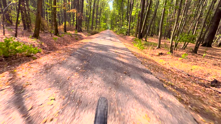 Riding a bike in the forest. First person view. POV. Bottom up view of green foliage of trees in the forest. Autumn season in the woods. Fall sport activirities. Bike front wheel. Empty road.  | Shutterstock HD Video #1109312807