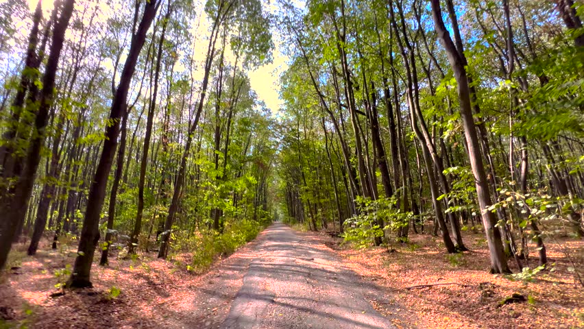 Riding a bike in the forest. First person view. POV. Bottom up view of green foliage of trees in the forest. Autumn season in the woods. Fall sport activirities. Bike front wheel. Empty road.  | Shutterstock HD Video #1109312809
