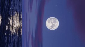 Vertical video of Flying over the ocean at moon night. - Powered by Shutterstock - Get 15% off with code: PIKWIZARD15