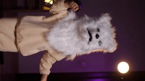 vertical video little child in a wolf dog mask dancing and having fun, halloween
