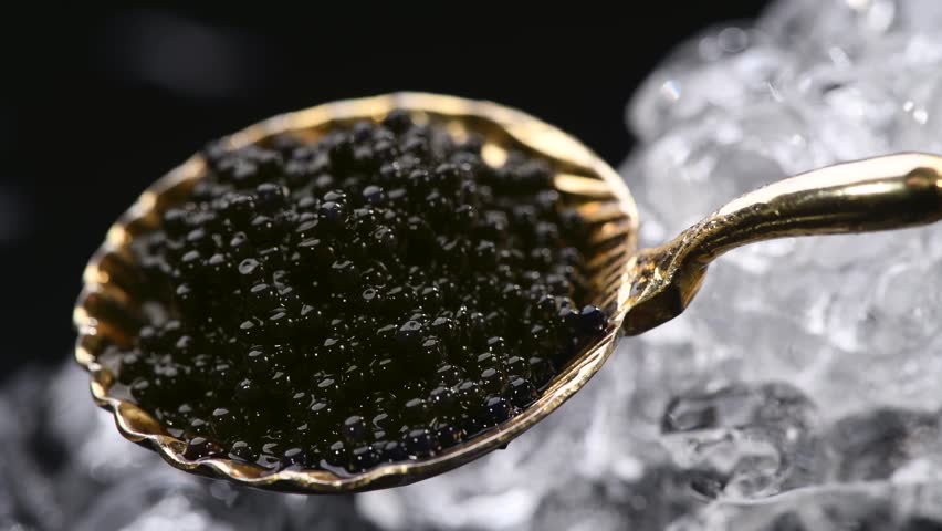 Black Caviar in golden spoon. High quality natural sturgeon black caviar close-up. Delicatessen. Texture of expensive luxury caviar on ice on black background, rotating. Slow motion.  Royalty-Free Stock Footage #1109317869