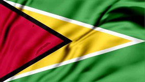 Guyana flag 4k green full waving, Flag of the Co-operative Republic
lag of Guyana Waving Animation, Guyana Flag 4K Footage.