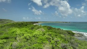 Drone video of the salines beach in sainte anne, martinique, caribbean