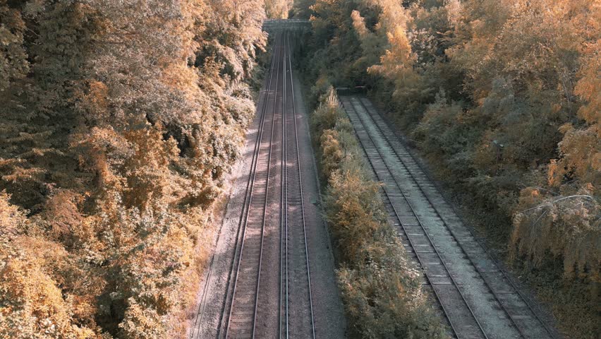 A picturesque scene of a railway winding its way through a lush forest. The steel tracks blend harmoniously with the natural surroundings, inviting you on a tranquil journey through nature.