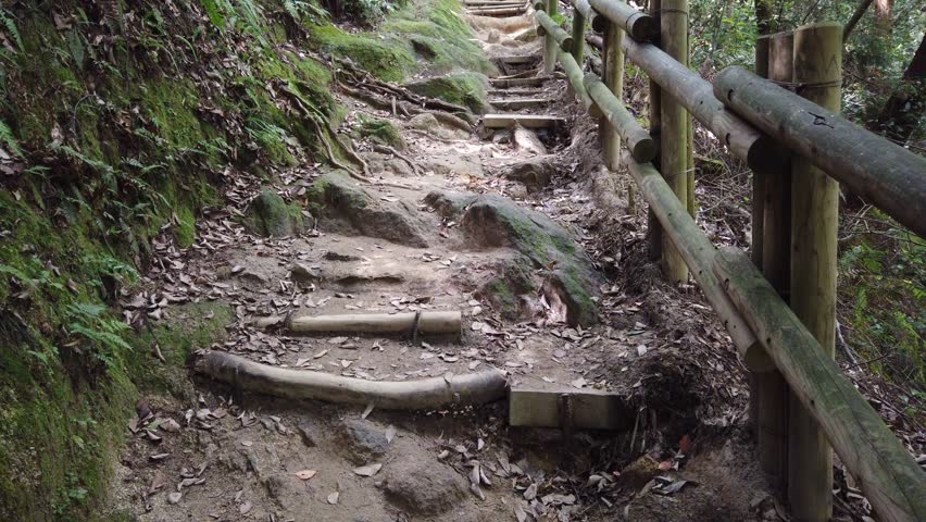 Woodland hiking stairs, trail in green lush forest Daimonji mountain Japan, wooden construction between mossy path