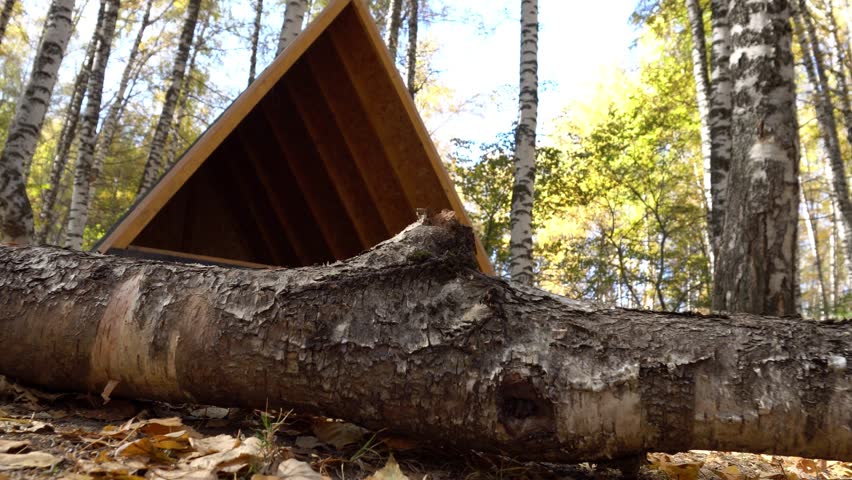 Wooden gazebo for camping in the autumn forest. There is a log from a birch tree. Lots of yellow fallen leaves. Birch grove. The sun is shining brightly. Mountainous terrain. A house from sun and rain