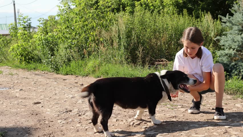 Teenage girl playing with a dog, hugging her, the dog gives a paw, 4K.