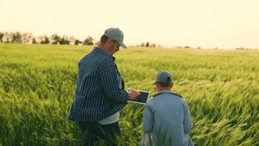Family business, farmers. Happy family, childs father walk together on wheat plantation in summer. Farmer father works with digital tablet in wheat field with his little son. Dad, son grow grain crop - Powered by Shutterstock - Get 15% off with code: PIKWIZARD15