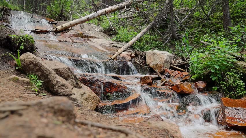 Small stream with a cascading waterfall at Staunton State Park in the Rocky Mountains of Colorado. Filmed from a low angle.