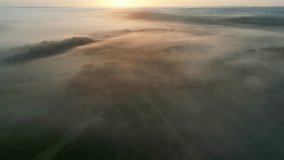 Aerial view of vineyard under fog, Rions, Gironde, France