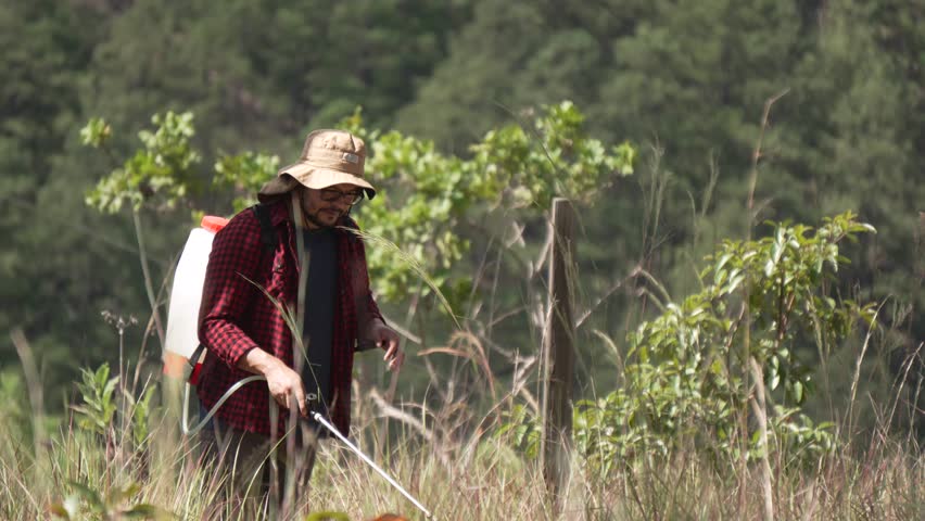 Man in the forest watering new trees, pesticide or fertilizer, using a backpack sprayer. He wears a red shirt and hat. Climate change concept.