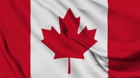 A beautiful view of Canada flag video. 3d flag waving video. Canada flag HD resolution. Animation. Country flag animation