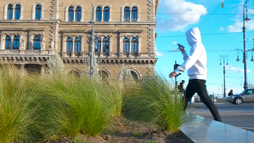 Green spaces of the city. Beautiful fluffy perennial grass on the streets of the city.