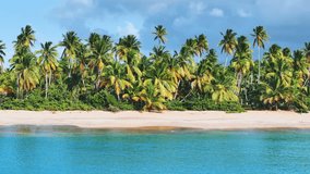 Exotic sea beach of the Seychelles with white sand and coconut palms. Sunny summer day. Landscape of a paradise coast on a tropical island in the blue ocean. Summer holidays background.