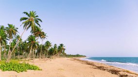 Summer evening on a pristine clean tropical Hawaiian beach with palm trees. Blue sea and yellow sand. Picturesque summer landscape. Vibrant nature of the sea coast. Summer vacation.