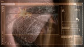 animation of interface with data processing over close up of a female eye - Powered by Shutterstock - Get 15% off with code: PIKWIZARD15