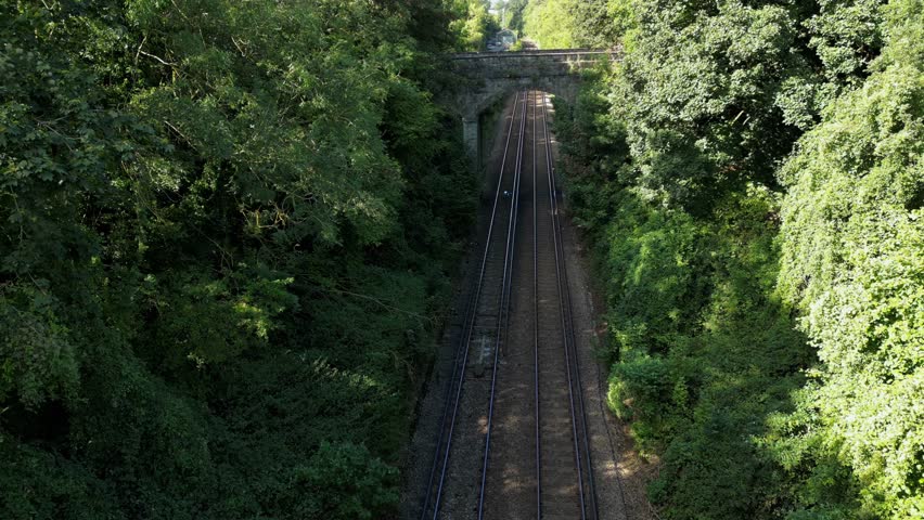 A picturesque scene of a railway winding its way through a lush forest. The steel tracks blend harmoniously with the natural surroundings, inviting you on a tranquil journey through nature.