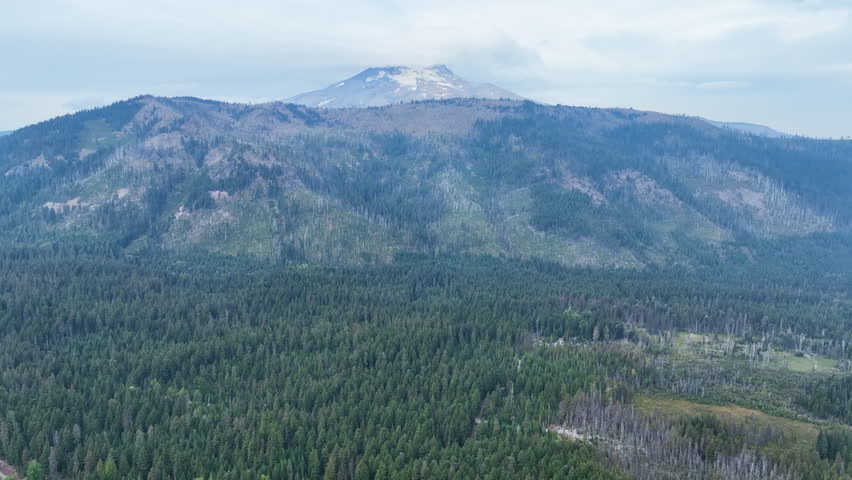 Mount Hood looms over forested ridges not far from Portland in the Pacific Northwest.