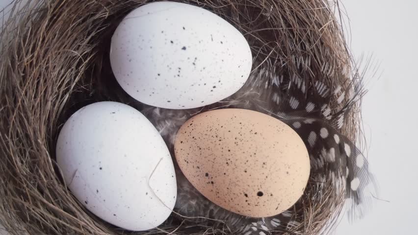 Three Easter eggs in a nest. Easter | Shutterstock HD Video #1109415921