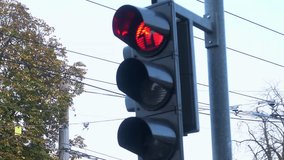 Traffic lights in the United Kingdom adhere to international traffic management standards, ensuring uniform traffic control.