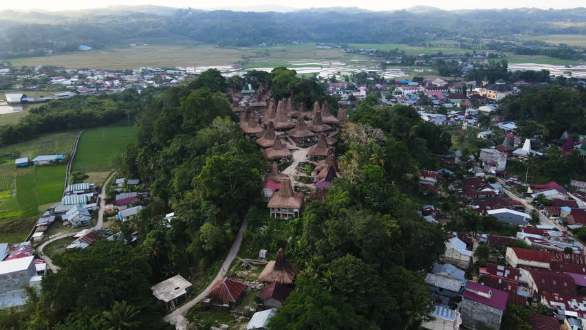 Vista Of Thatched Roof Cottages Surrounded By Dense Trees Near Rural Town In West Sumba, East Nusa Tenggara, Indonesia. Aerial Shot