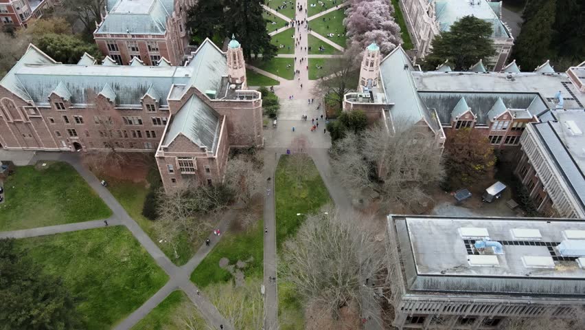 Aerial approaching shot of The Quad at the University of Washington with blooming cherry trees in Seattle City, America