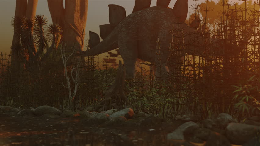 4k walkling stegosaurus cross the forest. Royalty-Free Stock Footage #1109439755