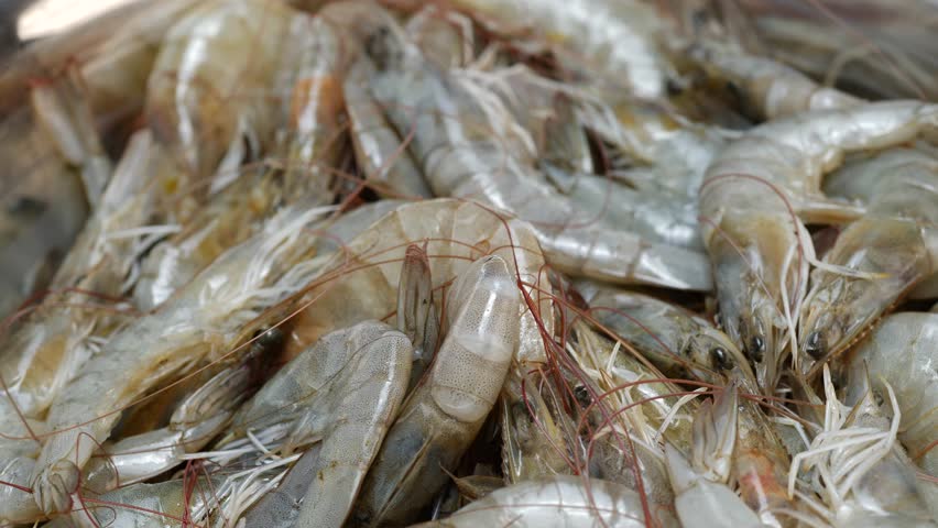 There is a pile of frozen shrimp and another pile of shrimp in a bowl Royalty-Free Stock Footage #1109441335
